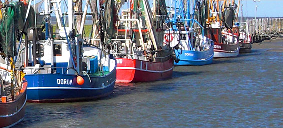 Ferien in Dorum an der Nordsee